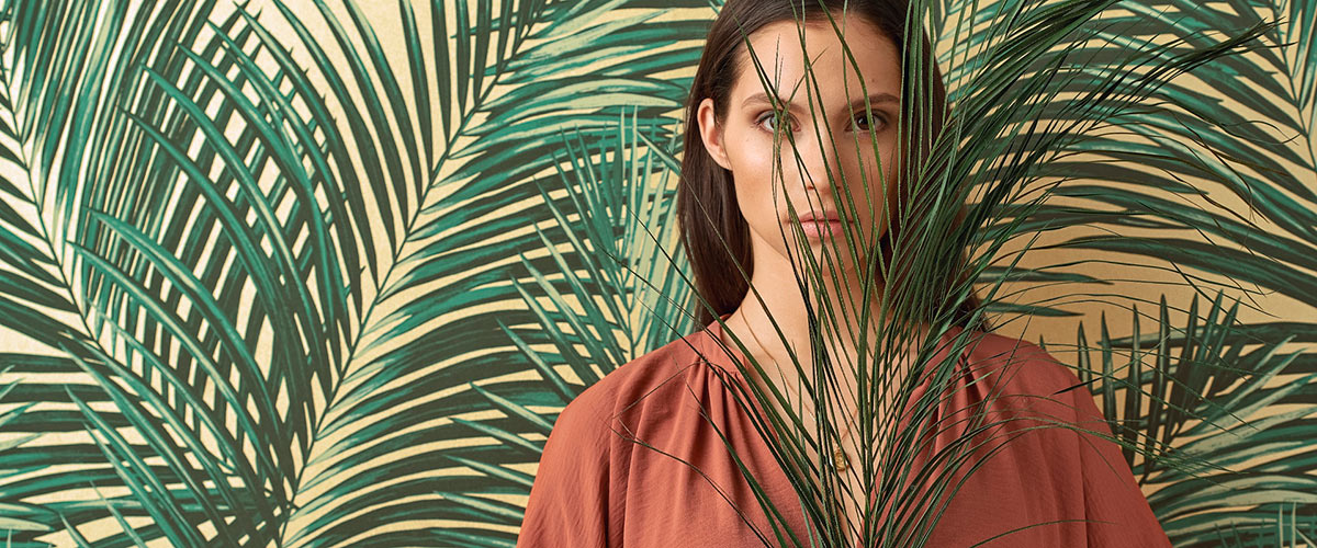 фото обложки коллекции Amazonia