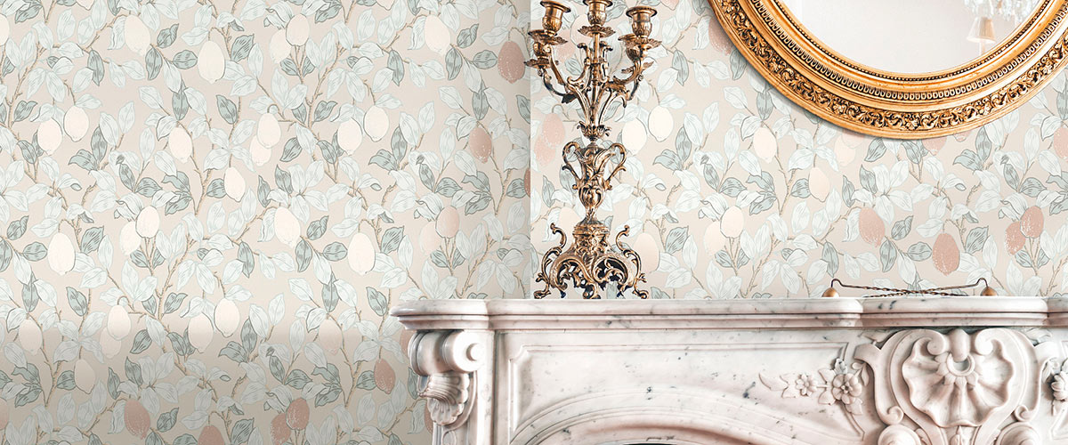 фото обложки коллекции Equator