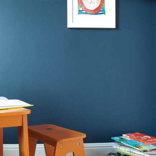 изображение антивандальной интерьерной краски Premium Professional Interior