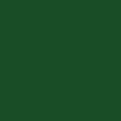 Краска Lanors Mons, цвет «Перламутрово-зеленый» RAL 6035