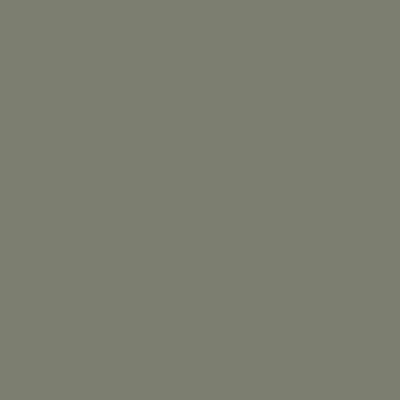Краска Lanors Mons, цвет «Серый мох» RAL 7003