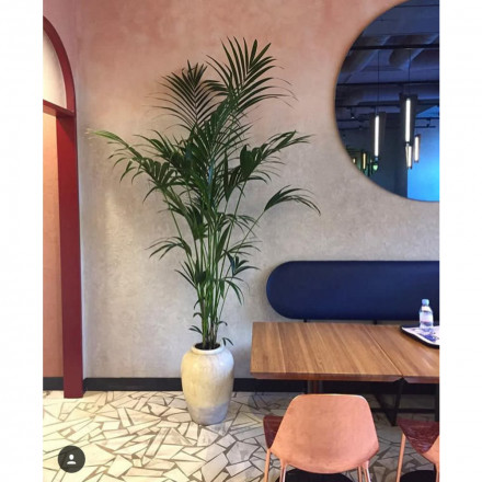 Lanors «Stanley» декоративная штукатурка 