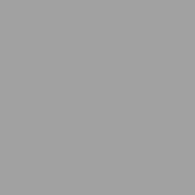 Краска Lanors Mons, цвет «Сигнальный серый» RAL 7004