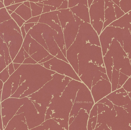 Обои Alessandro Allori Argiano, 15024-6