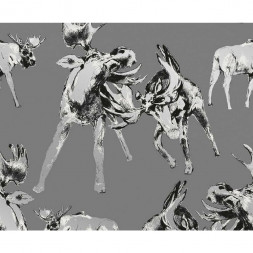 Обои Sandudd Rolleri 9, 5278-1