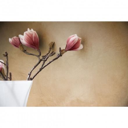 Lanors «Safari» архитектурная краска