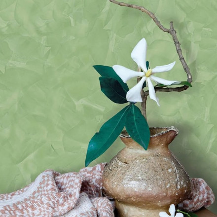 Декоративная штукатурка Valpaint «Rococo Stucco Veneziano»