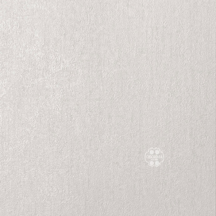 Обои Alessandro Allori Bodega, RTE2402-2