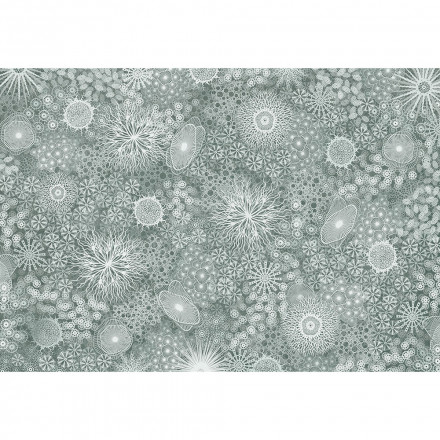 Фреска RF 24/7, AQ_05_3