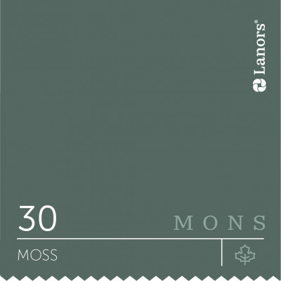 Краска Lanors Mons «Moss» (Мох), 30