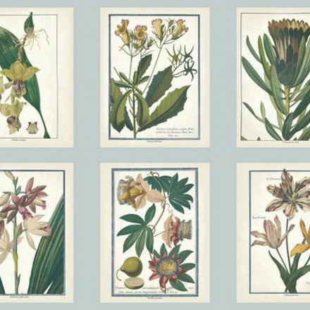 Обои York Ashford House Toiles II, AF1930 A