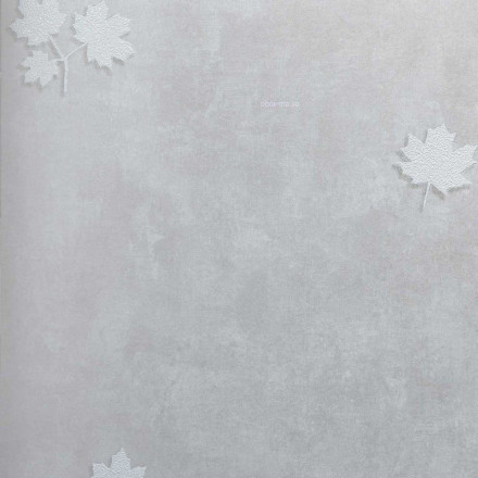 Обои Bernardo Bartalucci Sarrieri, 5082-5