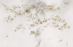 Фреска Applico Four «Бонсай», 0060-Br1