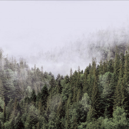 Фреска Ortograf, 34944