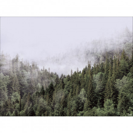 Фреска Ortograf, 34944