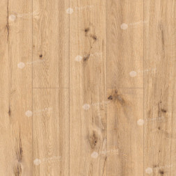 Ламинат Alpine Floor ProNature «Oak», 64634