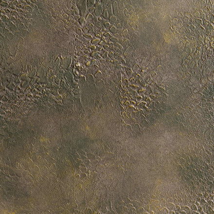 Декоративная штукатурка Goldshell «Рустик»