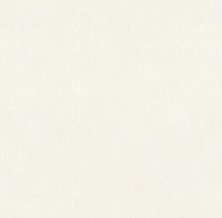 Обои Alessandro Allori Argiano, 15023-3