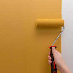 Покраска стен краской «Mons»