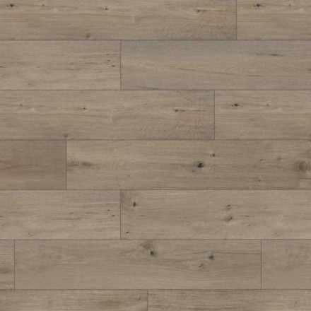 Ламинат Ter Hurne Classic Line, 1904 «Дуб мороженый», 1101021836