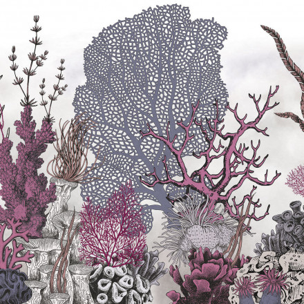 Фреска Ortograf, 35049