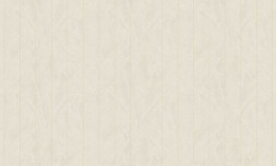 Обои Bruno Zoff Silver 60113-1