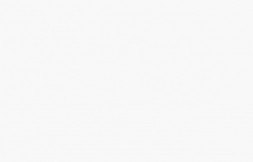 Обои Bernardo Bartalucci Coco, 5088-55