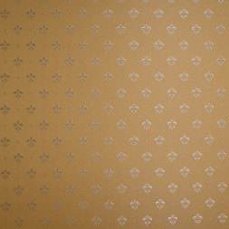 Обои Epoca Wallcoverings Tesoro, KTE03010