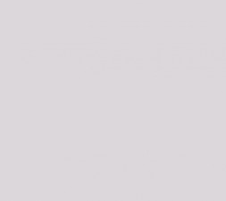 Обои Loymina Lotus Universe, LOT2 304