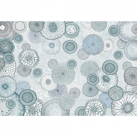 Фреска RF 24/7, AQ_08_3