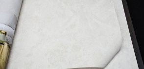 Обои Bruno Zoff Silver 60114-1