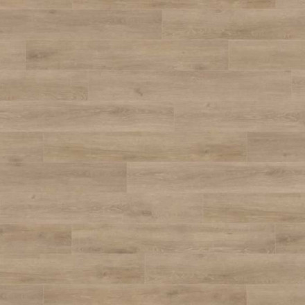 Ламинат Haro Tritty 100 «Дуб Венето Кремовый», 535261