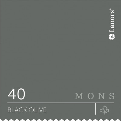 Краска Lanors Mons «Black Olive» (Маслина), 40