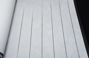 Обои Bruno Zoff Silver 60113-4