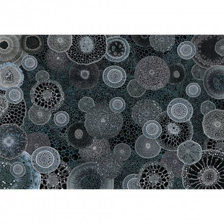 Фреска RF 24/7, AQ_09_3