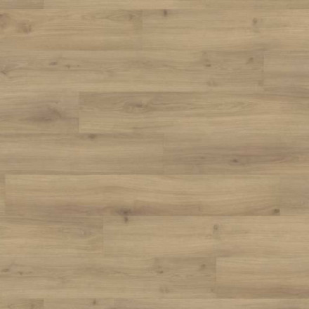 Ламинат Haro Tritty 100 «Дуб Эмилия Пуро», 538691