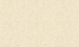 Обои Bruno Zoff Silver 60114-3