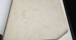 Обои Bruno Zoff Silver 60114-3