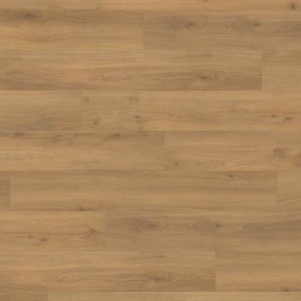 Ламинат Haro Tritty 100 «Дуб Эмилия Медовый», 538692