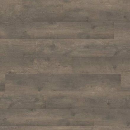 Ламинат Haro Tritty 100 «Дуб Бергамо Карбон», 538694