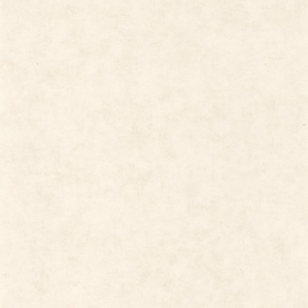 Обои Caselio Beton, 101480010