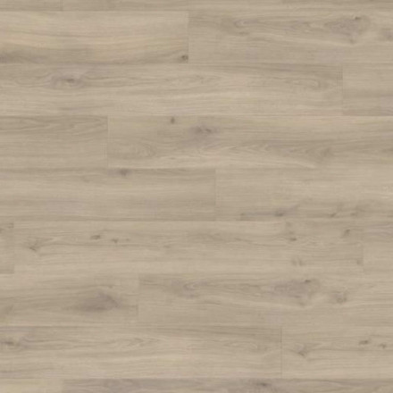 Ламинат Haro Tritty 100 «Дуб Эмилия Вельвет Серый», 538695