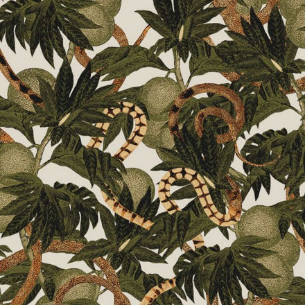 Обои Khroma Cabinet of curiosities, CAB204