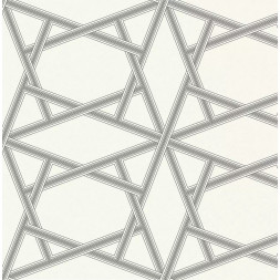 Обои Architector Black and White, ZN50400