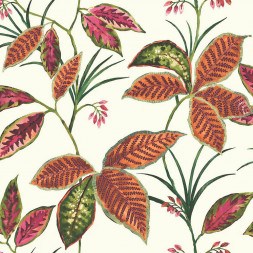 Обои Wallquest Maui Maui, TP80810