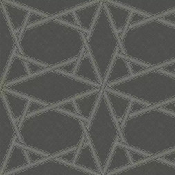 Обои Architector Black and White, ZN50403