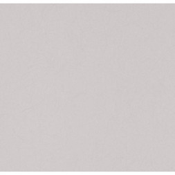 Обои Bernardo Bartalucci Legend, 5068-24