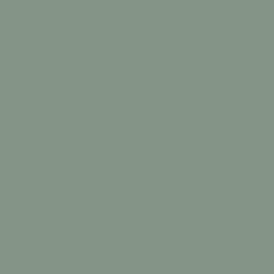 Краска Lanors Mons, цвет NCS S 4010-G10Y