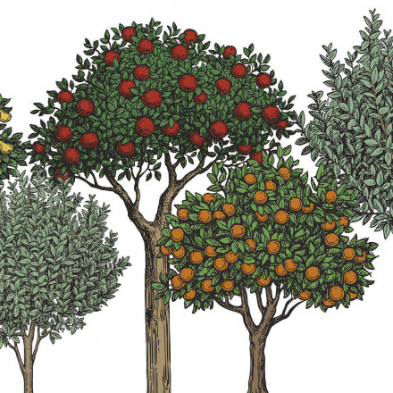 Фреска Ortograf, 35066