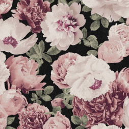 Обои Khroma Kent, KEN001